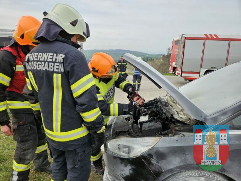 B1 PKW Brand in Konradsheim