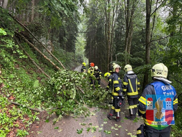 Baum über Straße nach Unwetter beseitigt