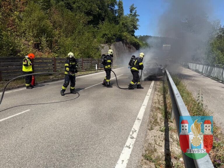 Oldtimer ging in Flammen auf und potenzieller Waldbrand verhindert