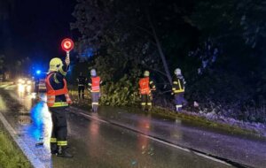 T1 21.08.2026 Baum über Straße (3)